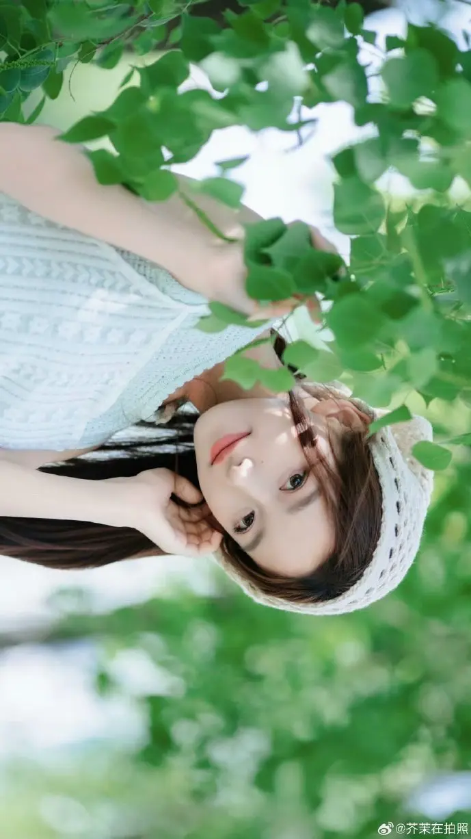 歌曲鱼下载数据趋势图